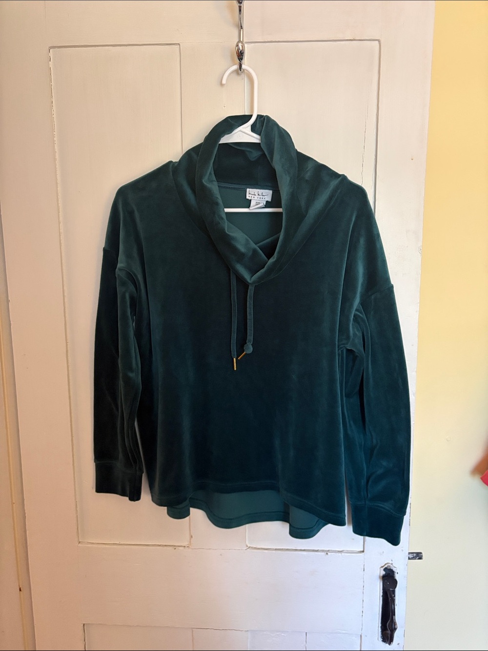 Nicole Miller Teal Velvet Pullover Hoodie